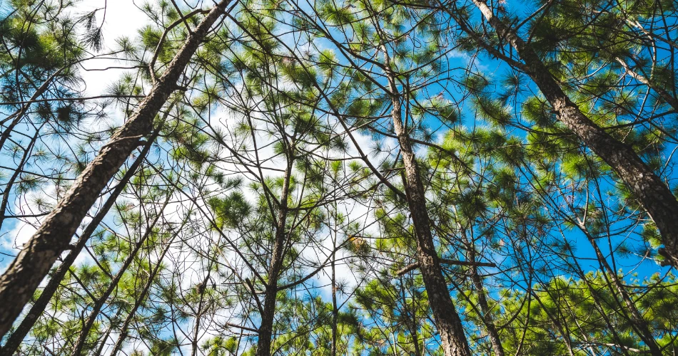 Relaxing in Langan Park: Nature, Trails & Family Fun