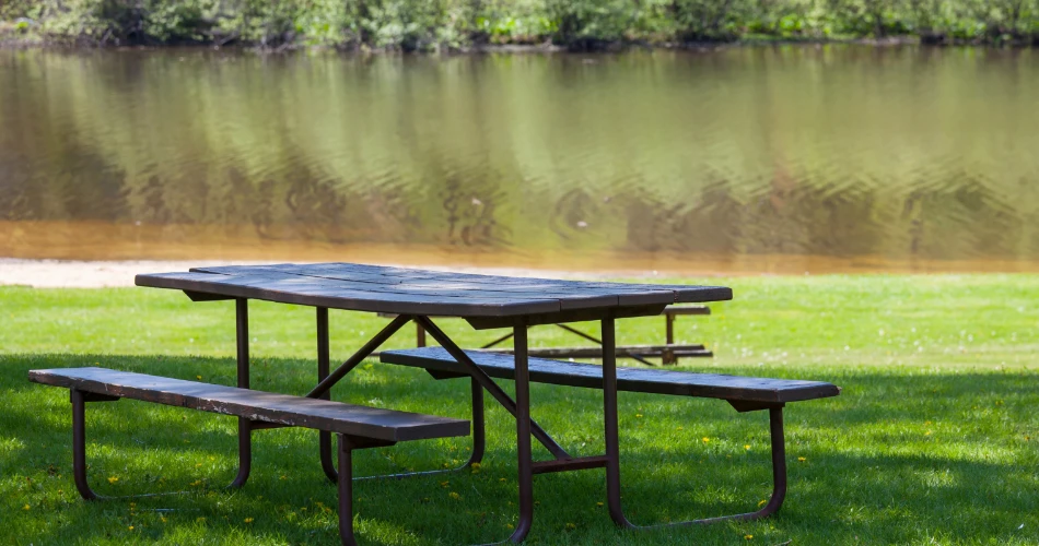 Relaxing in Langan Park: Nature, Trails & Family Fun
